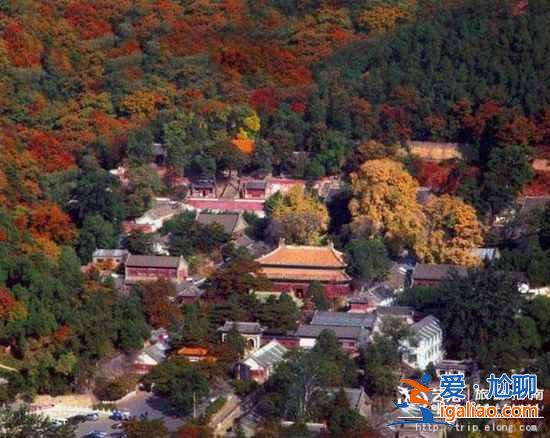 【十一北京秋游】賞紅采摘登高 門頭溝十一秋游線路？