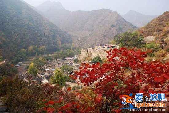 【十一北京秋游】賞紅采摘登高 門頭溝十一秋游線路？