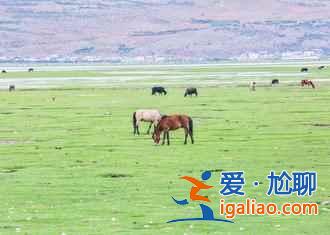 世外桃源,香格里拉? 世外桃源,香格里拉?