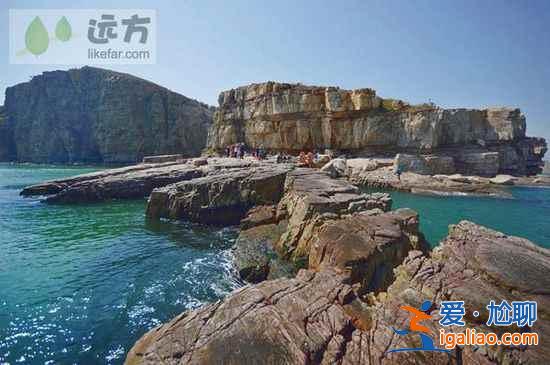 【山東長島自助游】到長島與萬只海鷗成為朋友？