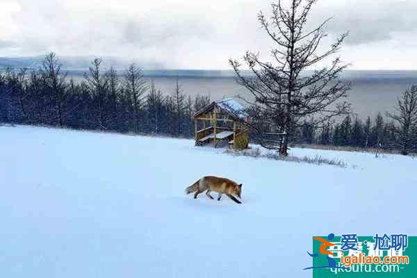 貝加爾湖最佳旅游季節 貝加爾湖冬天值得去嗎？
