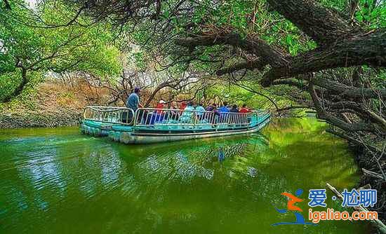 【臺灣私密照】臺灣的八處私密美景? 【臺灣私密照】臺灣的八處私密美景?