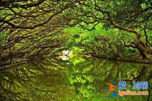 【臺灣私密照】臺灣的八處私密美景? 【臺灣私密照】臺灣的八處私密美景?