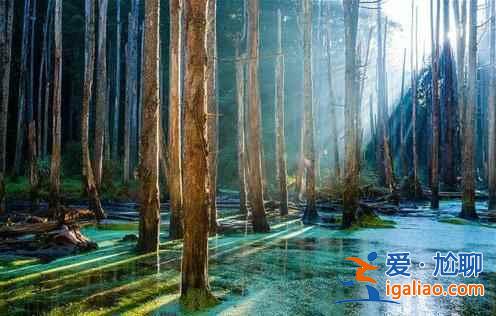 【臺灣私密照】臺灣的八處私密美景? 【臺灣私密照】臺灣的八處私密美景?