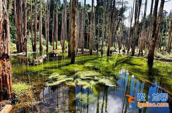 【臺灣私密照】臺灣的八處私密美景? 【臺灣私密照】臺灣的八處私密美景?