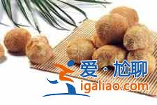 猴頭菇的做法？