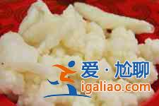 雪蓮菌? 雪蓮菌?