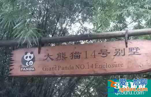 國內(nèi)冬天哪些地方適合親子游？