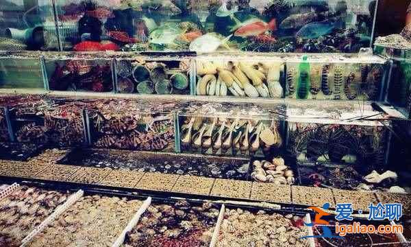 舌尖上的香港，香港美食大盤點？