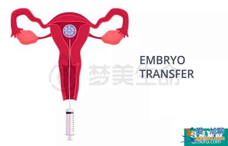 一份完整的試管嬰兒攻略？