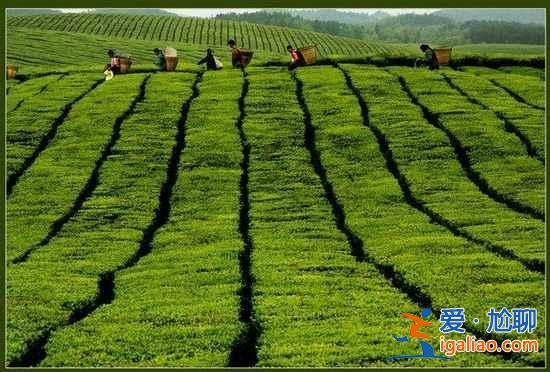 江南之外的江南：只愿沉醉的美麗？