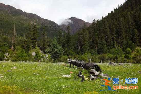 江南之外的江南：只愿沉醉的美麗？