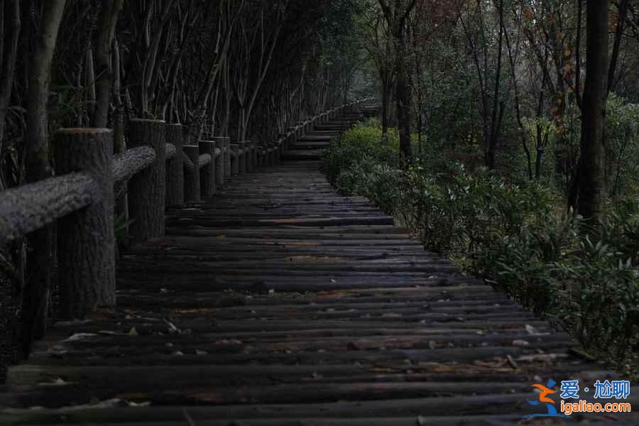 上海人少好玩的地方，上海人少的景點推薦？