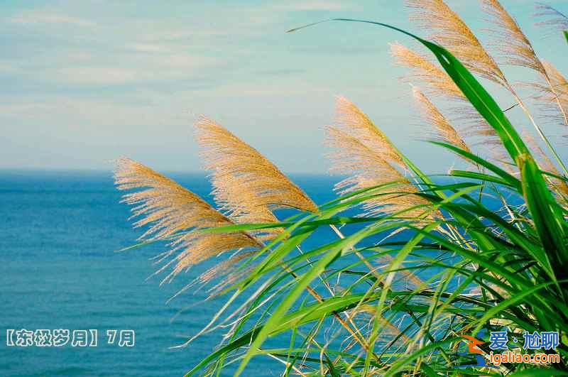 【東極島交通】怎么去東極島，東極島交通攻略？