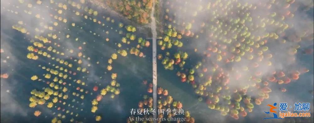 “春城之約”重逢蒙特利爾 《同一個家園》MV正式上線？