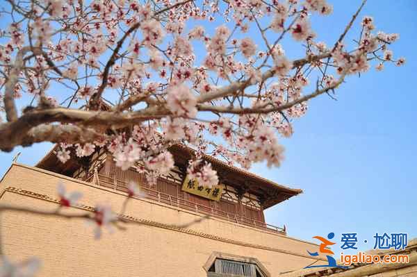 敦煌有什么好玩的,敦煌有什么好玩的地方? 敦煌有什么好玩的,敦煌有什么好玩的地方?