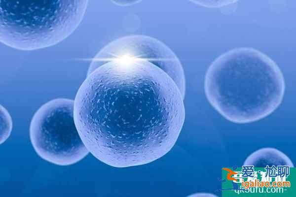 HIV人群的健康生育出路——試管嬰兒？