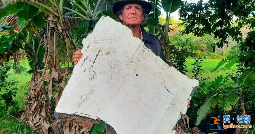 馬航MH370起落架艙門殘骸被發(fā)現(xiàn) 或證明飛行員有犯罪意圖？