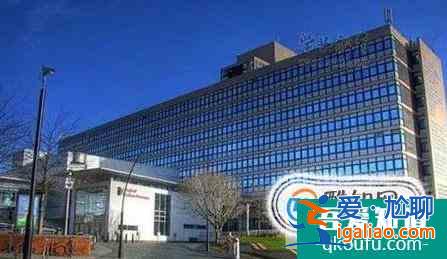 科廷科技大學會計（1.5年）專業和紐卡斯爾大學職業會計專業哪個好？？