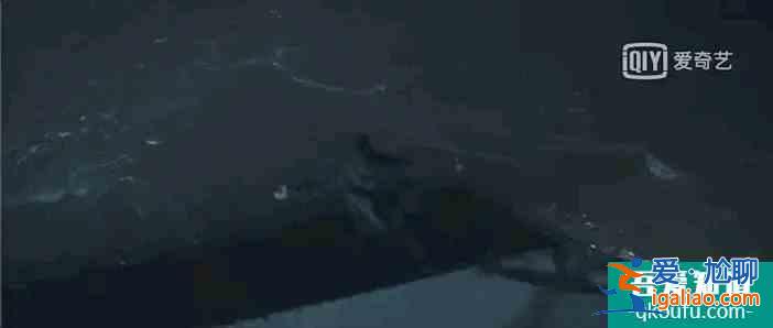 《在劫難逃》大結局：只是一場記憶治療，張海峰回過去收養趙彬彬？