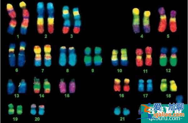 走進伊甸園試管嬰兒醫院? 走進伊甸園試管嬰兒醫院?