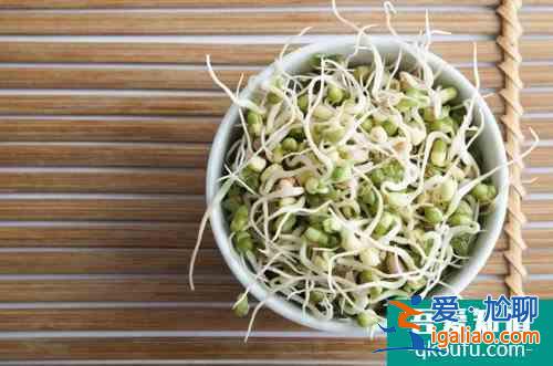 綠豆芽的特色菜譜 教你烹出精彩菜品？