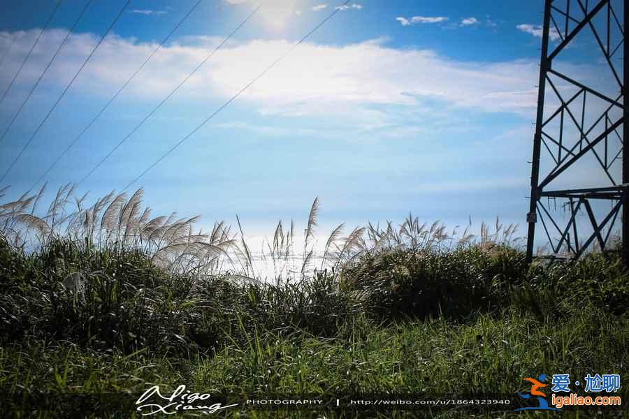 上海到枸杞島船票多少錢，上海到枸杞島怎么去？