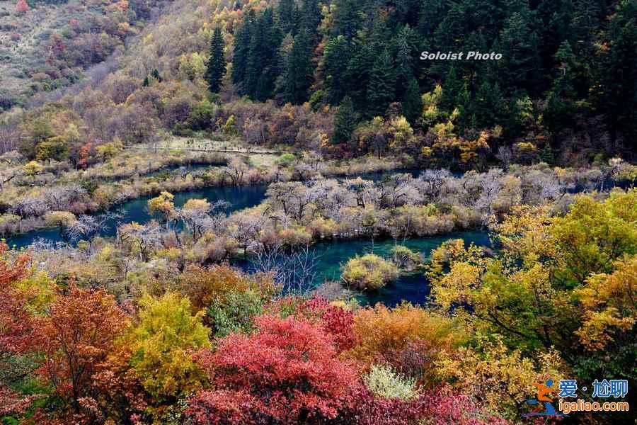 去九寨溝玩需要幾天，去九寨溝玩幾天合適？