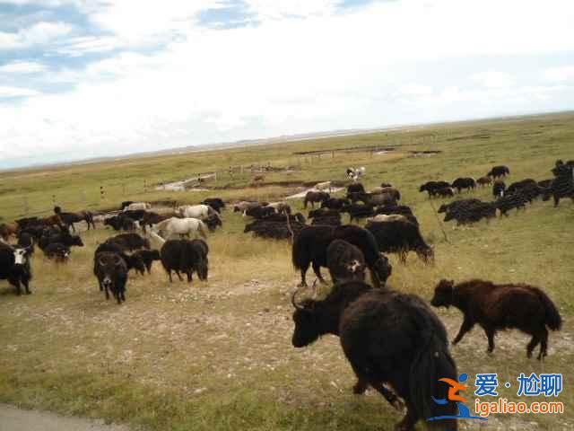 失戀去哪旅游,失戀去哪里旅游? 失戀去哪旅游,失戀去哪里旅游?
