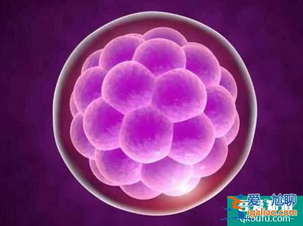 高齡失獨母親的再孕之路：試管嬰兒？