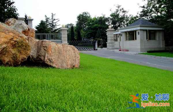 大連旅游必去景點，大連旅游必去地方？