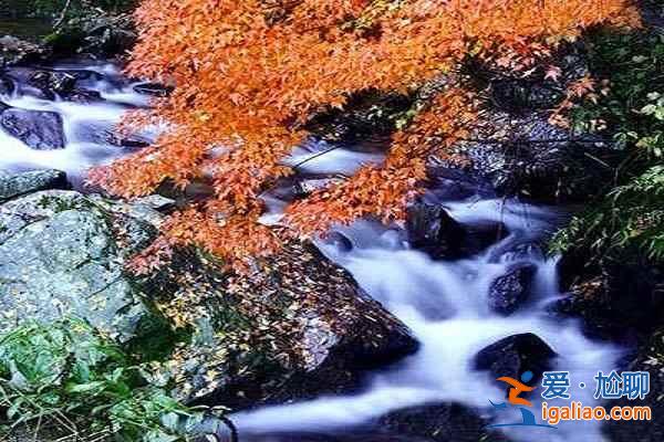 夏日清涼好去處 十大避暑勝地？