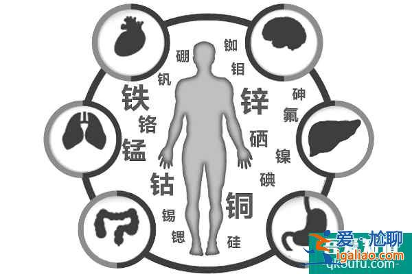赴美試管嬰兒前如何增加卵子數量？？