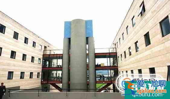 迪肯大學國際會計專業和麥考瑞大學商學碩士-會計專業哪個好？？