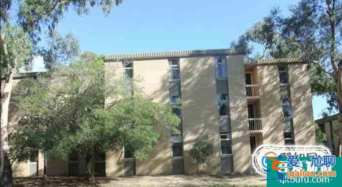 臥龍崗大學職業會計專業和皇家墨爾本理工大學商學碩士-會計專業哪個好？？