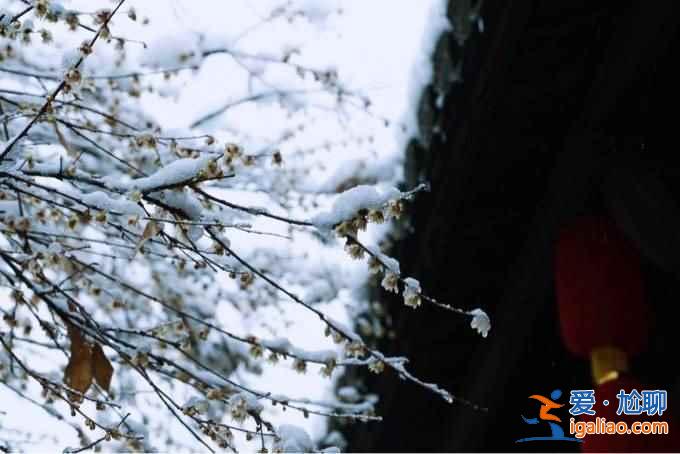 不談油菜花,來看看下雪的婺源有多美!? 不談油菜花,來看看下雪的婺源有多美!?