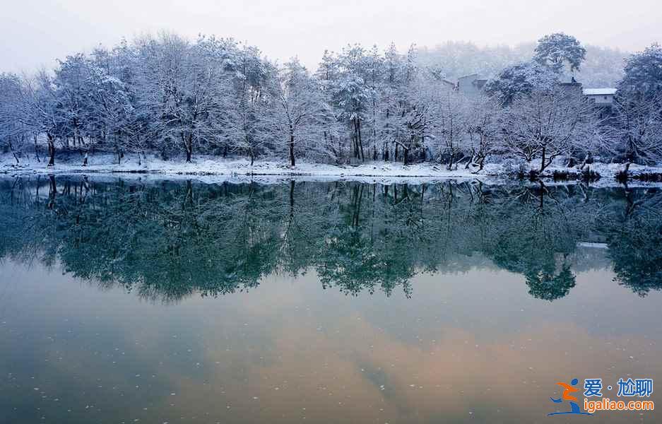 雪后的南方,這是我見過最美的冬景!? 雪后的南方,這是我見過最美的冬景!?