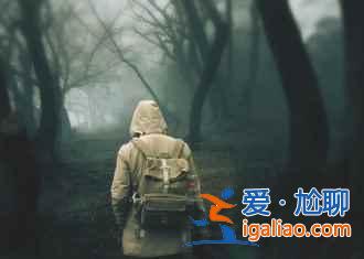 雪后的南方,這是我見過最美的冬景!? 雪后的南方,這是我見過最美的冬景!?