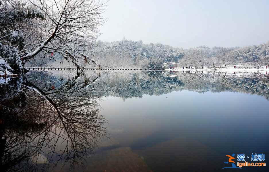 雪后的南方,這是我見過最美的冬景!? 雪后的南方,這是我見過最美的冬景!?