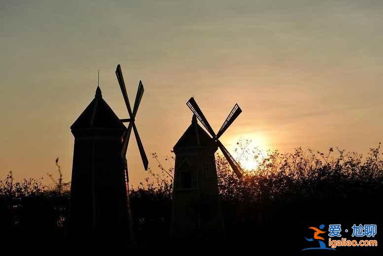 【地址】百萬葵園地址，百萬葵園怎么去？