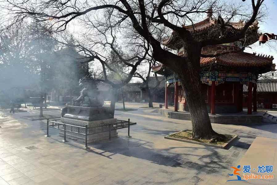 春節來北京，這5件事兒你必須做！？