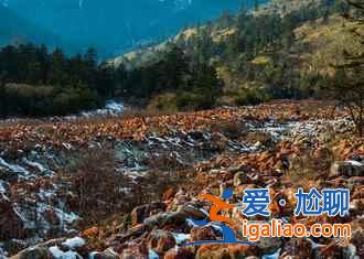 四川海螺溝現“狼圖騰”奇觀（附：最佳觀測時間、地點）？