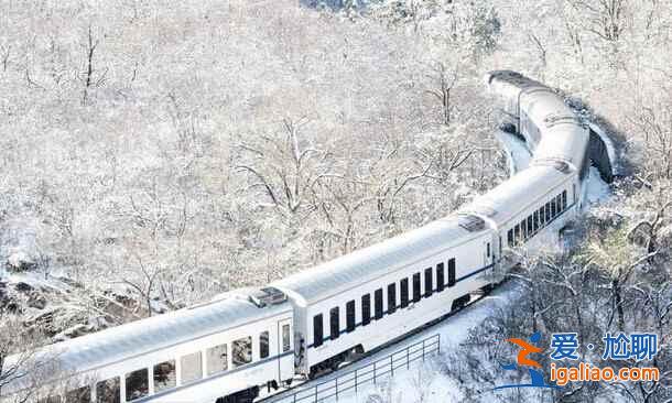 春日列車變雪國列車，你覺得哪個季節更美？？