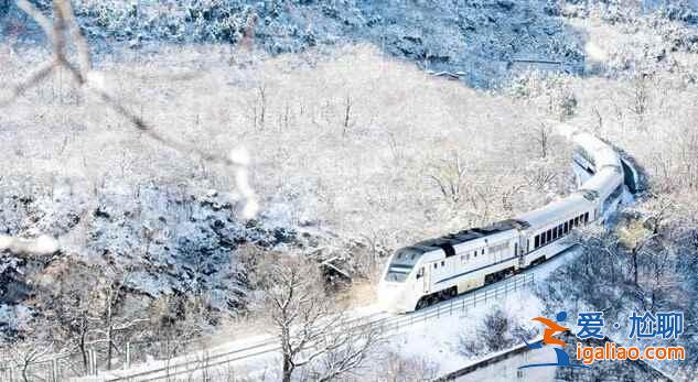春日列車變雪國列車，你覺得哪個季節更美？？