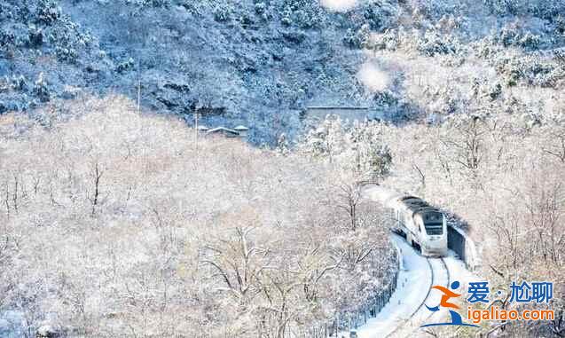 春日列車變雪國列車，你覺得哪個季節更美？？