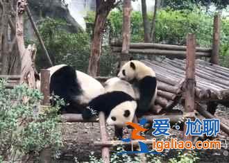 冬天的川藏線，這才是真正的天路！？