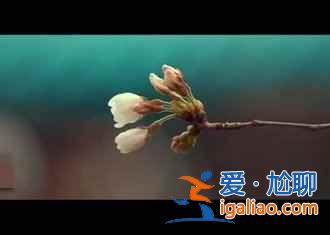 漢口江灘蘆葦怎么去，2015漢口江灘蘆葦時間？