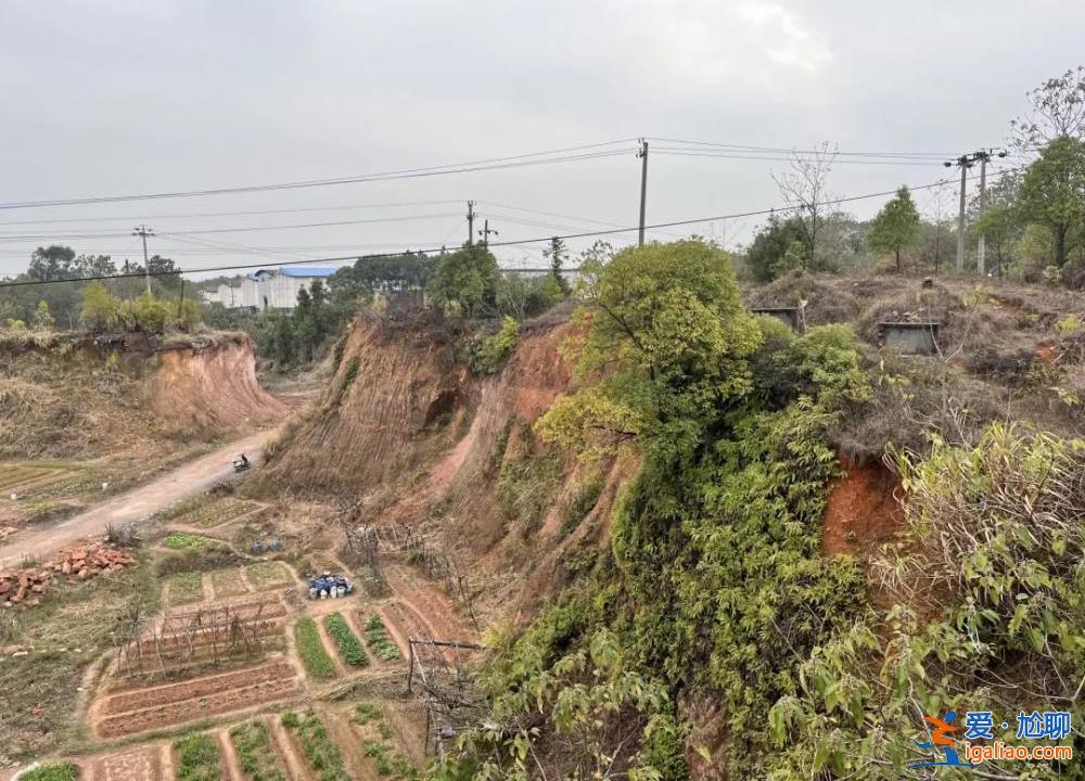 被焦灼、無解、謠言裹挾的雙親？