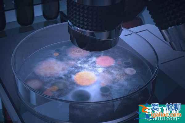 去做試管需要經歷哪些步驟?？