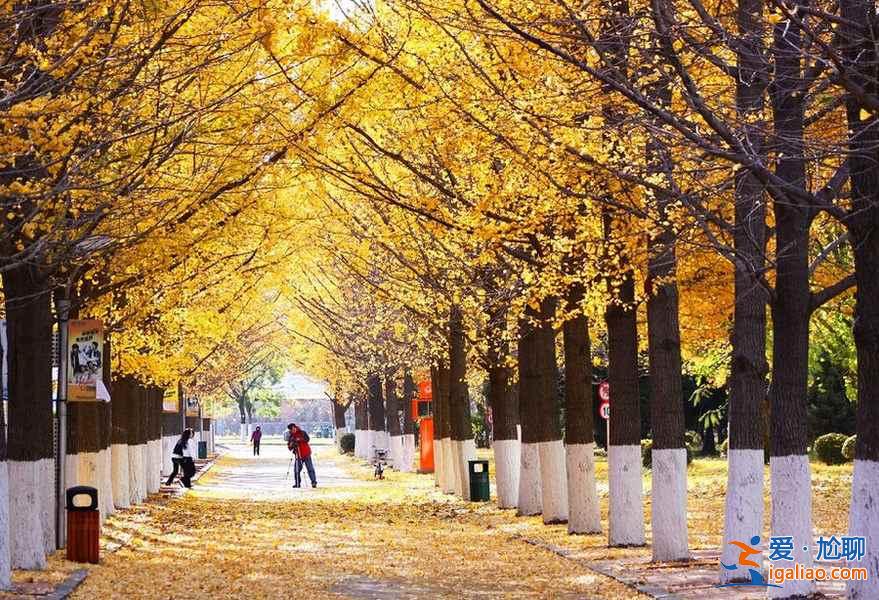 這里是中國一萬八千公里海岸線的北端起點,有“東北蘇杭”的美譽? 這里是中國一萬八千公里海岸線的北端起點,有“東北蘇杭”的美譽?